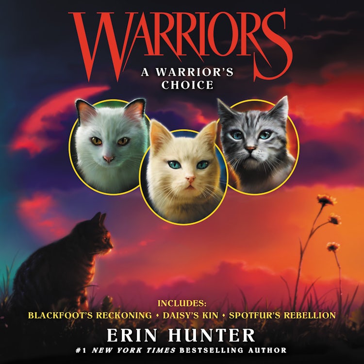 Cover image for Warriors: A Warrior's Choice, isbn: 9780063059191