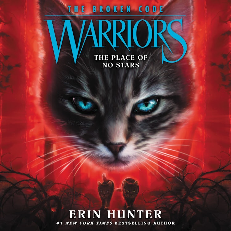 Cover image for Warriors: The Broken Code #5: The Place of No Stars, isbn: 9780063059214