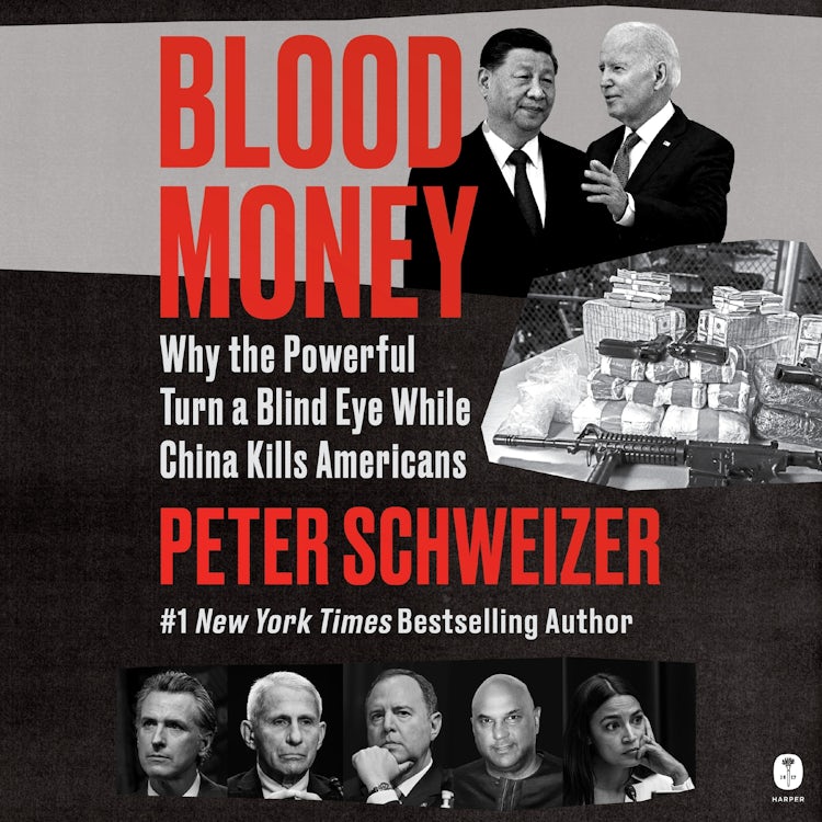 Cover image for Blood Money, isbn: 9780063061224