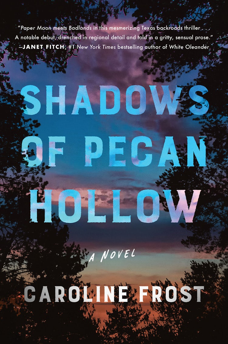Cover image for Shadows of Pecan Hollow, isbn: 9780063065369