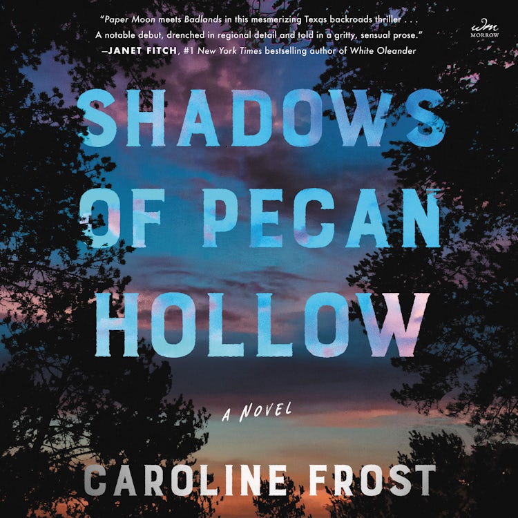 Cover image for Shadows of Pecan Hollow, isbn: 9780063065376