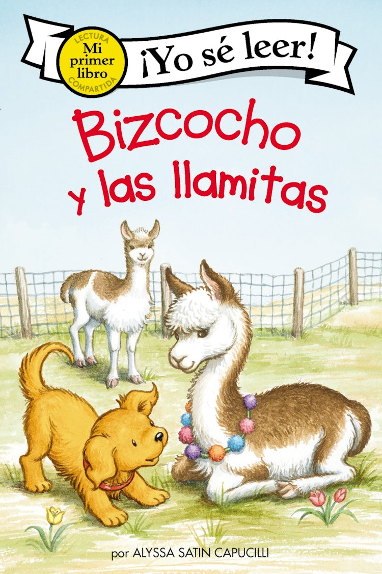 Cover image for Bizcocho y las llamitas, isbn: 9780063071018