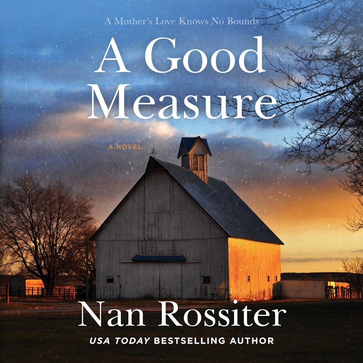 Cover image for A Good Measure, isbn: 9780063076266