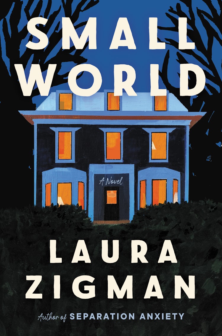 Cover image for Small World, isbn: 9780063088306
