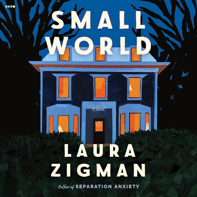 Cover image for Small World, isbn: 9780063088313