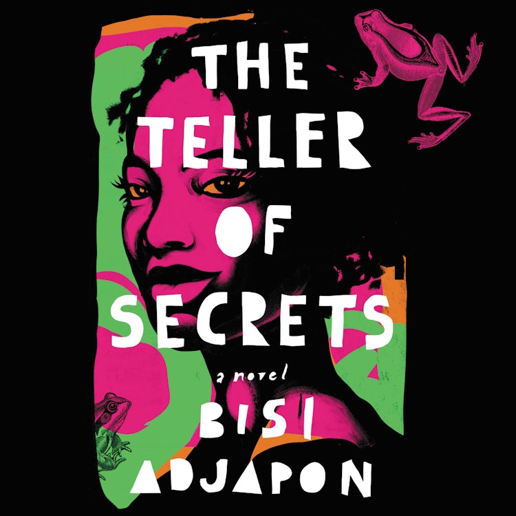 Cover image for The Teller of Secrets, isbn: 9780063088979