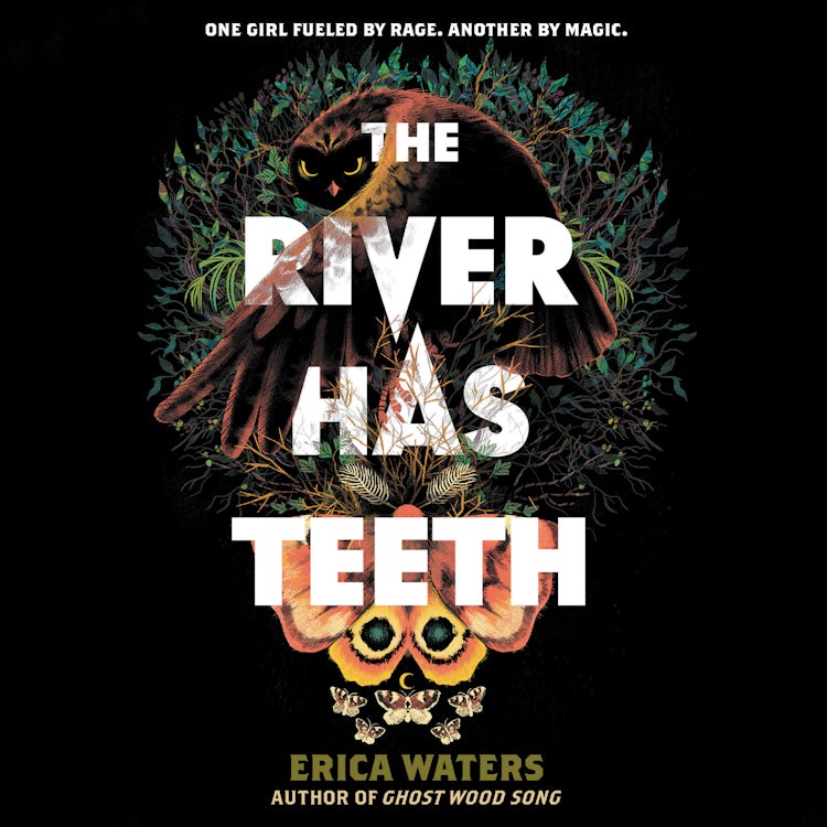 Cover image for The River Has Teeth, isbn: 9780063090477