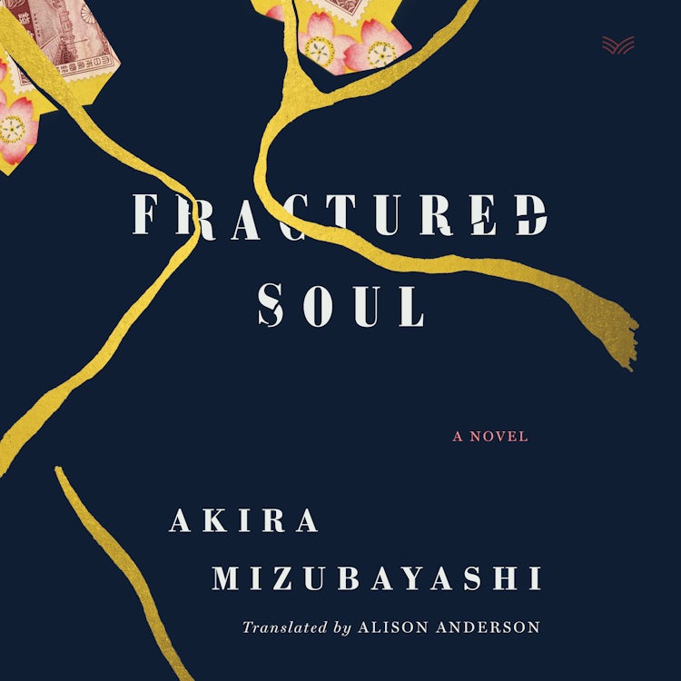 Cover image for Fractured Soul, isbn: 9780063093690