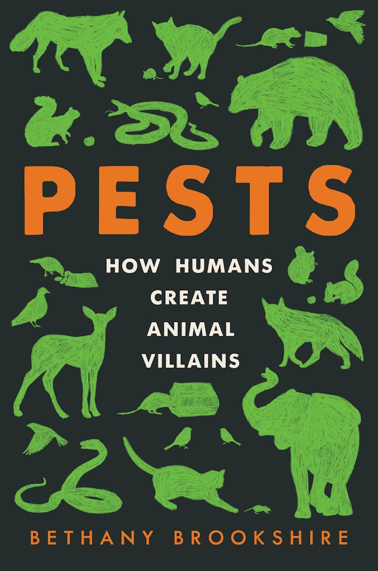Cover image for Pests: How Humans Create Animal Villains, isbn: 9780063097254