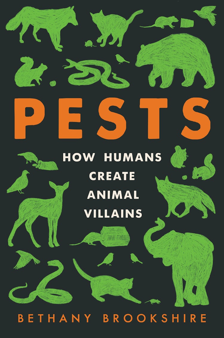 Cover image for Pests: How Humans Create Animal Villains, isbn: 9780063097261