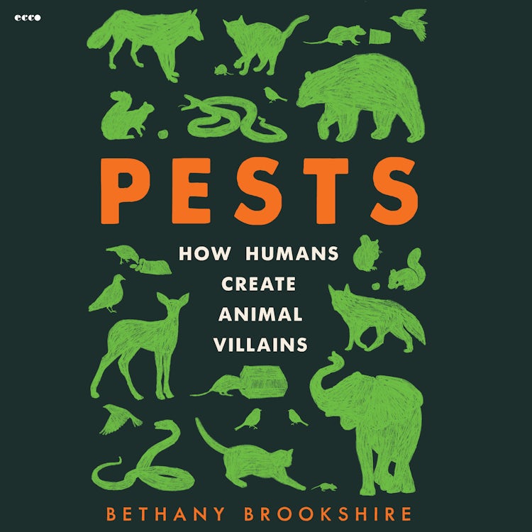 Cover image for Pests, isbn: 9780063097285