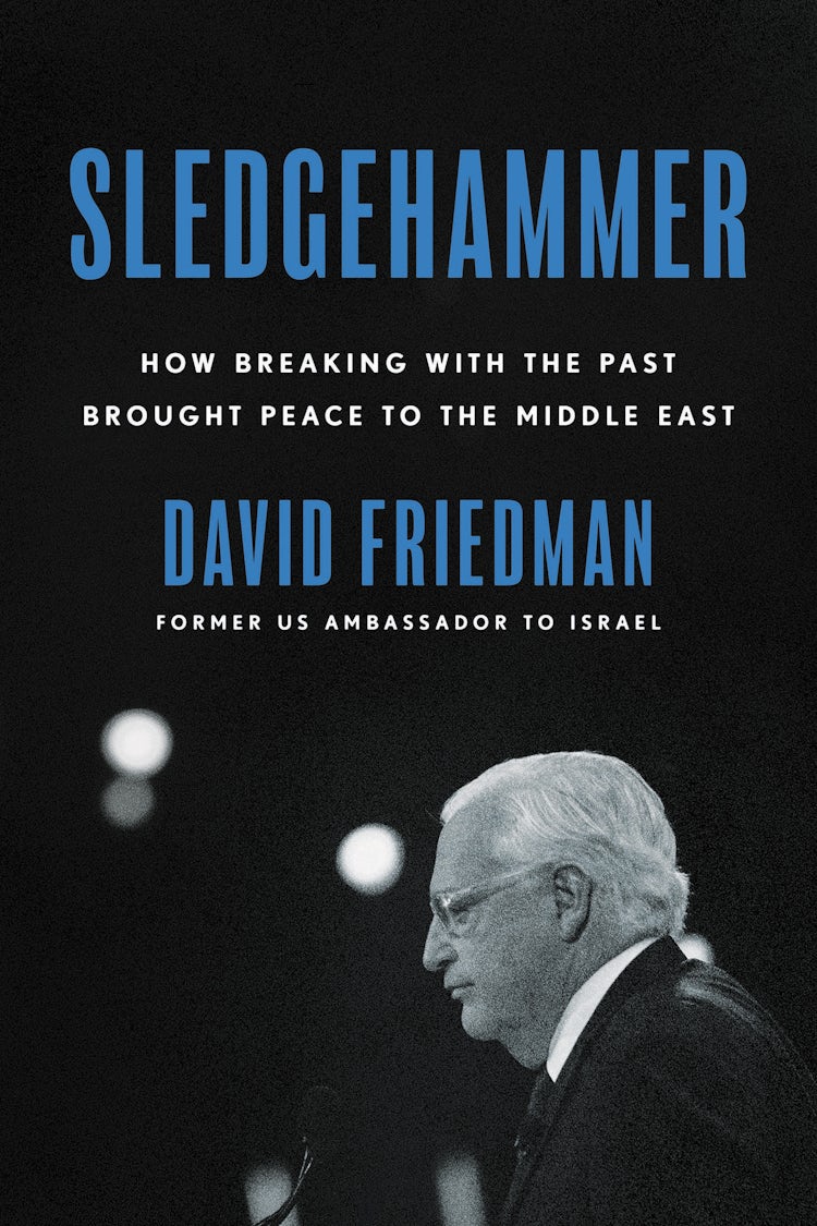 Cover image for Sledgehammer, isbn: 9780063098121