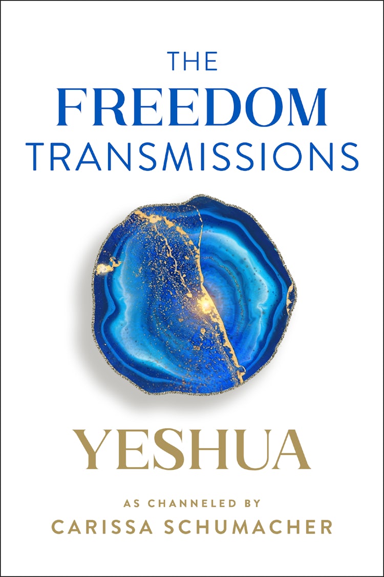 Cover image for The Freedom Transmissions, isbn: 9780063098589