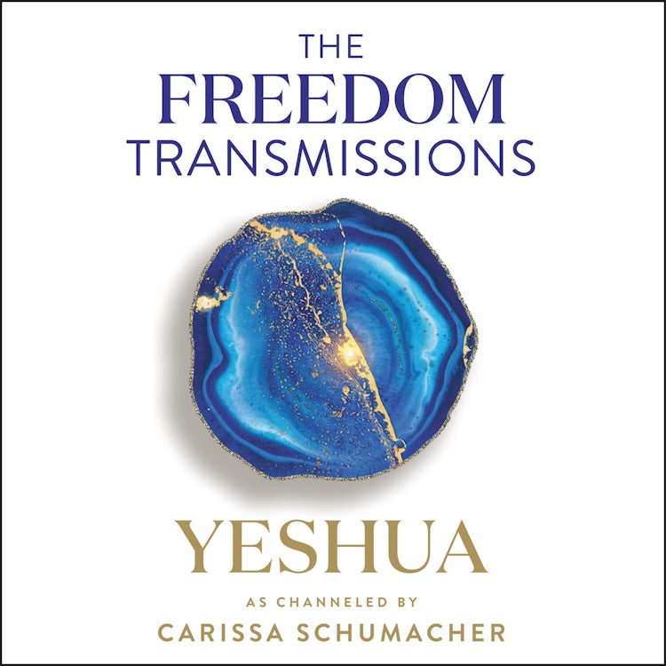 Cover image for The Freedom Transmissions, isbn: 9780063098596
