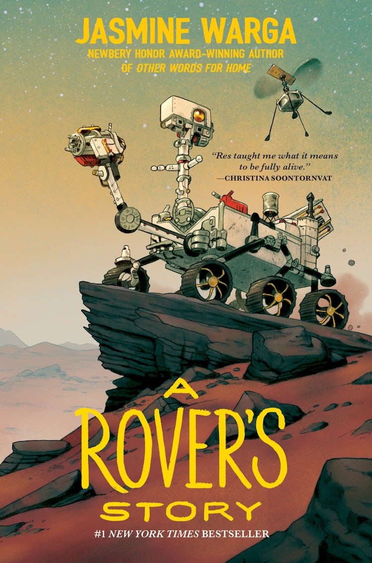 Cover image for A Rover's Story, isbn: 9780063113923
