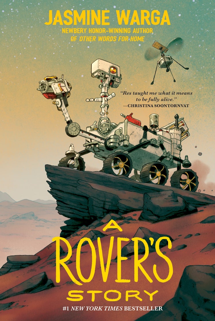 Cover image for A Rover's Story, isbn: 9780063113930