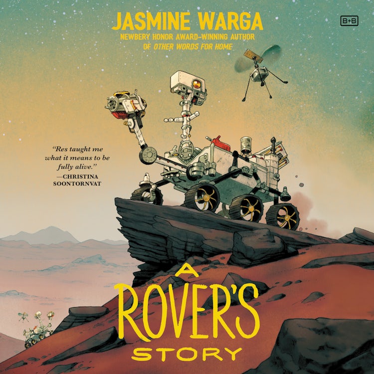 Cover image for A Rover's Story, isbn: 9780063113954