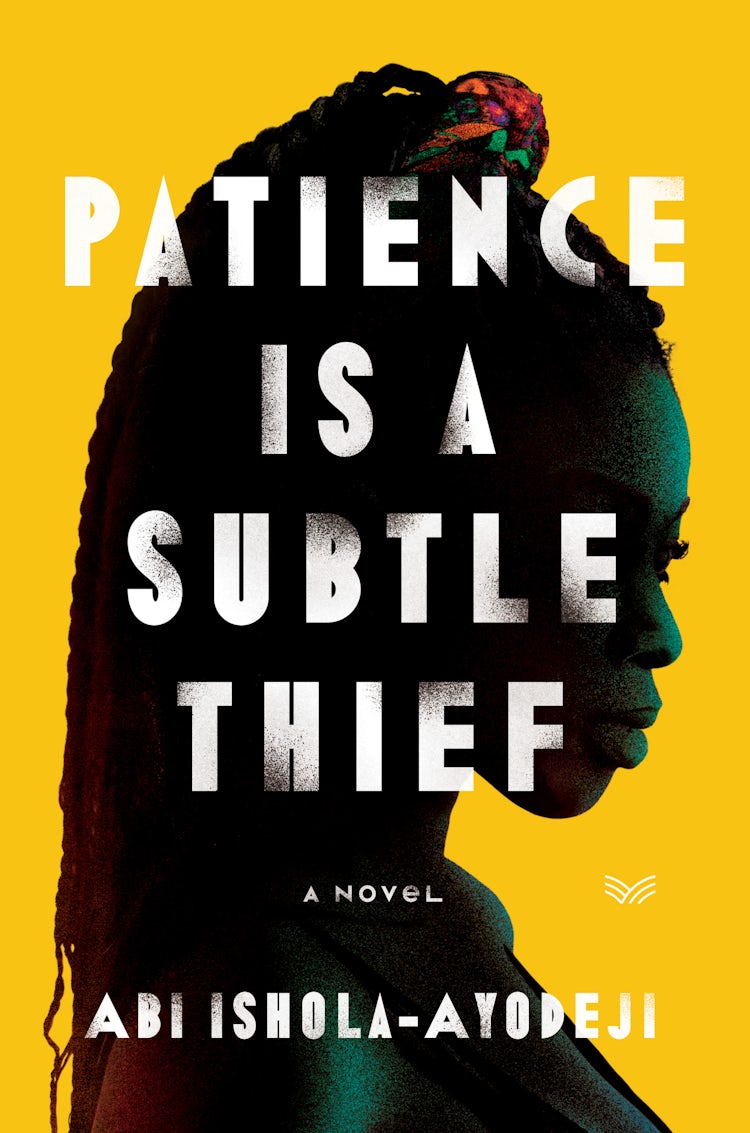 Cover image for Patience Is a Subtle Thief, isbn: 9780063116931