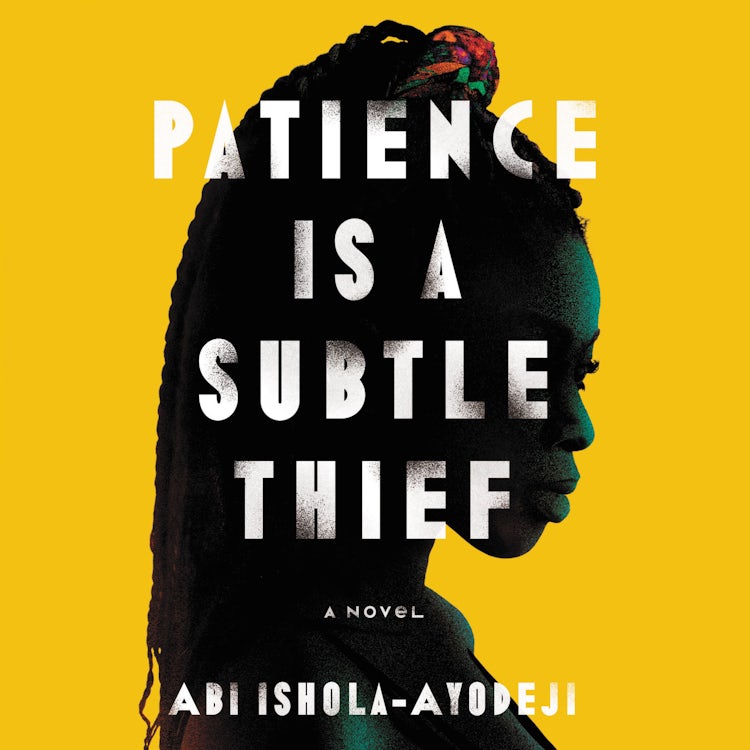 Cover image for Patience Is a Subtle Thief, isbn: 9780063116986