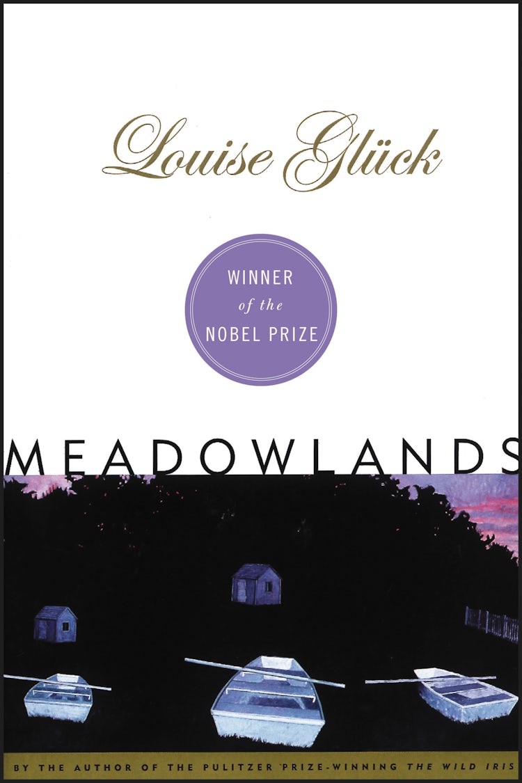 Cover image for Meadowlands, isbn: 9780063117594