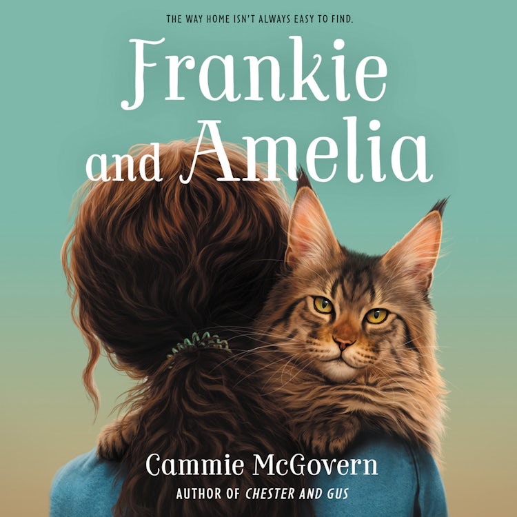 Cover image for Frankie and Amelia, isbn: 9780063135024