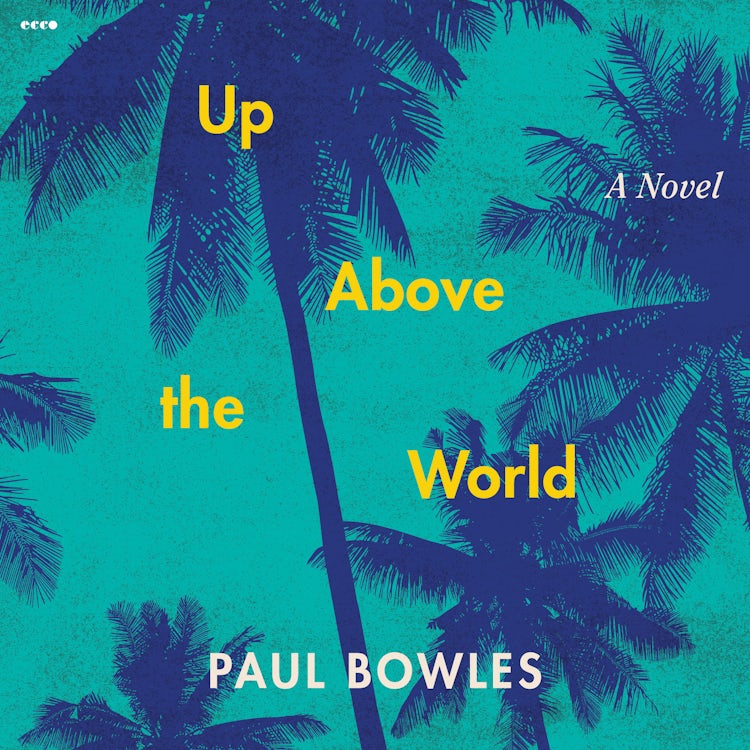 Cover image for Up Above the World, isbn: 9780063136151