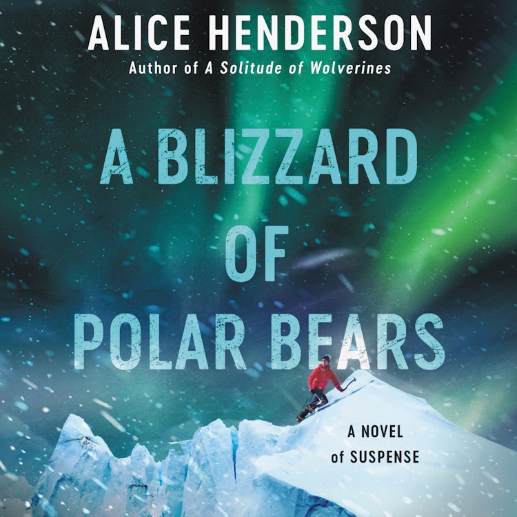 Cover image for A Blizzard of Polar Bears, isbn: 9780063140240