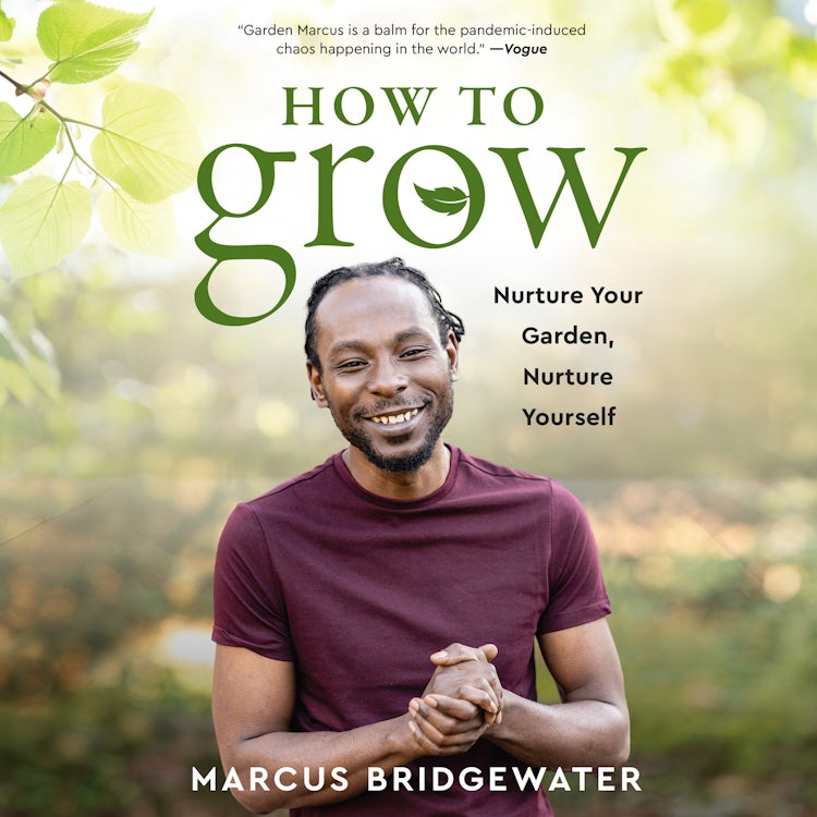Cover image for How to Grow, isbn: 9780063141469