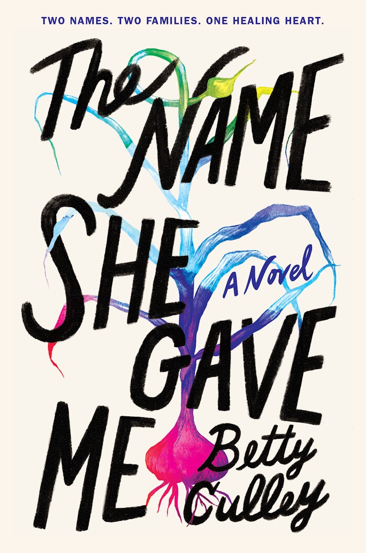 Cover image for The Name She Gave Me, isbn: 9780063157859