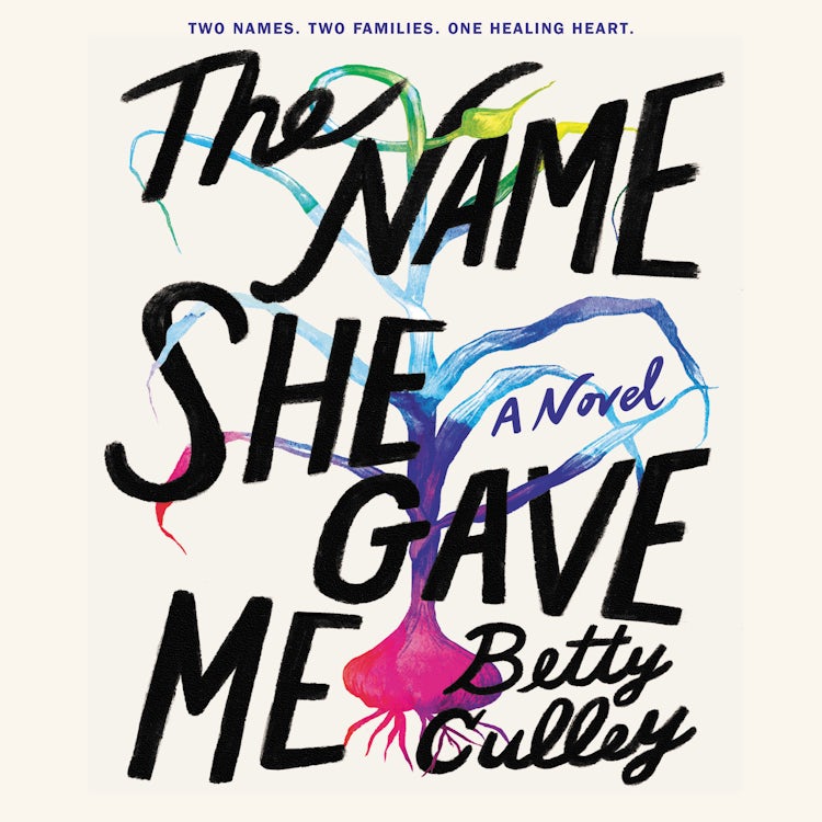 Cover image for The Name She Gave Me, isbn: 9780063157866