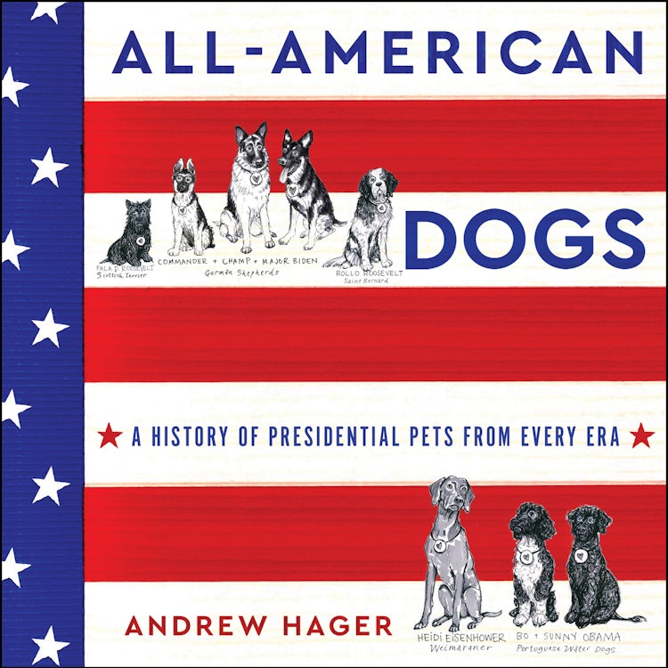 Cover image for All-American Dogs, isbn: 9780063158290
