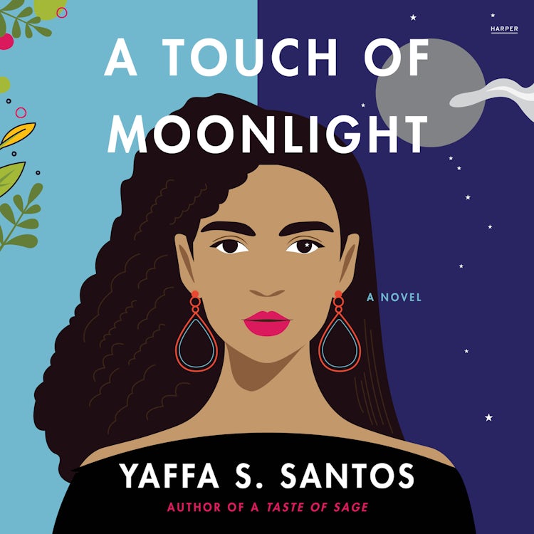 Cover image for A Touch of Moonlight, isbn: 9780063159051
