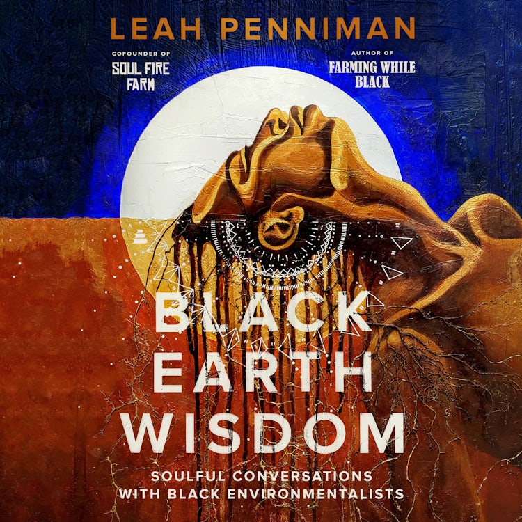 Cover image for Black Earth Wisdom, isbn: 9780063160934