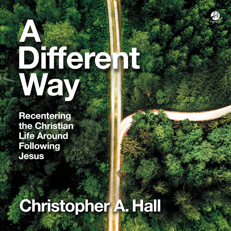 Cover image for A Different Way, isbn: 9780063207578