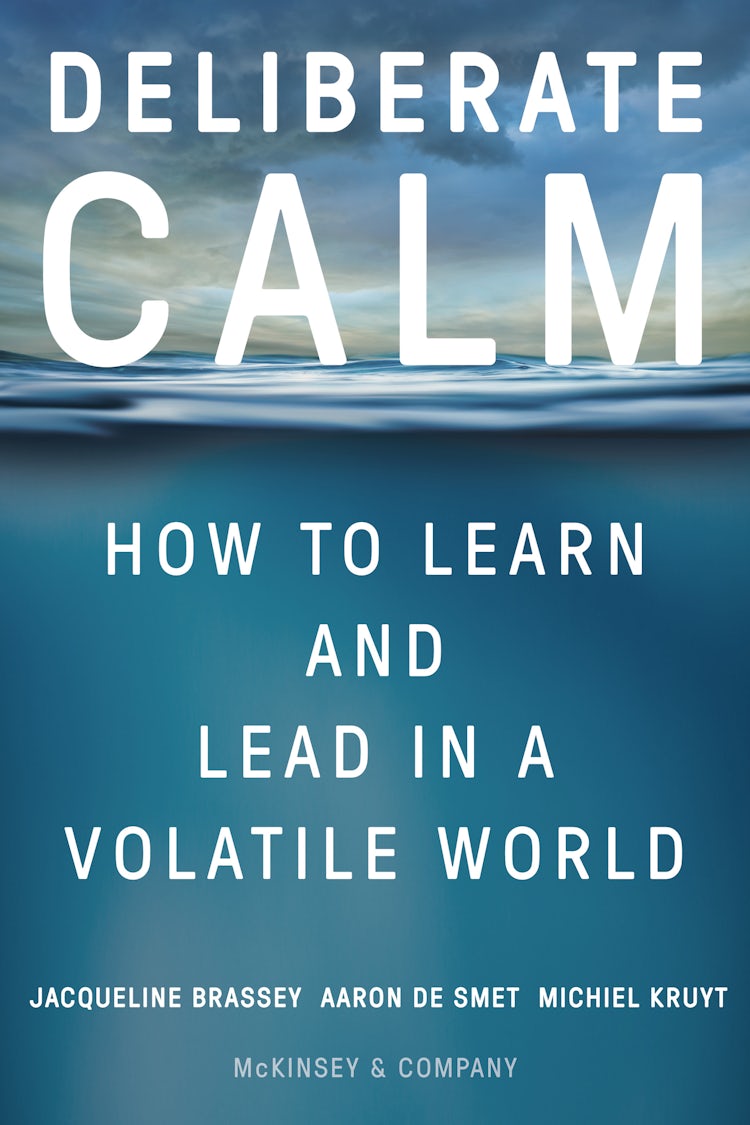 Cover image for Deliberate Calm: How to Learn and Lead in a Volatile World, isbn: 9780063208964