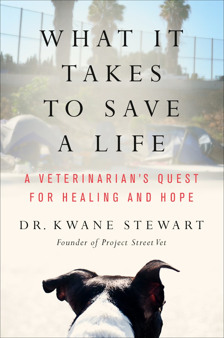Cover image for What it Takes to Save a Life: A Veterinarian's Quest for Healing and Hope, isbn: 9780063215825