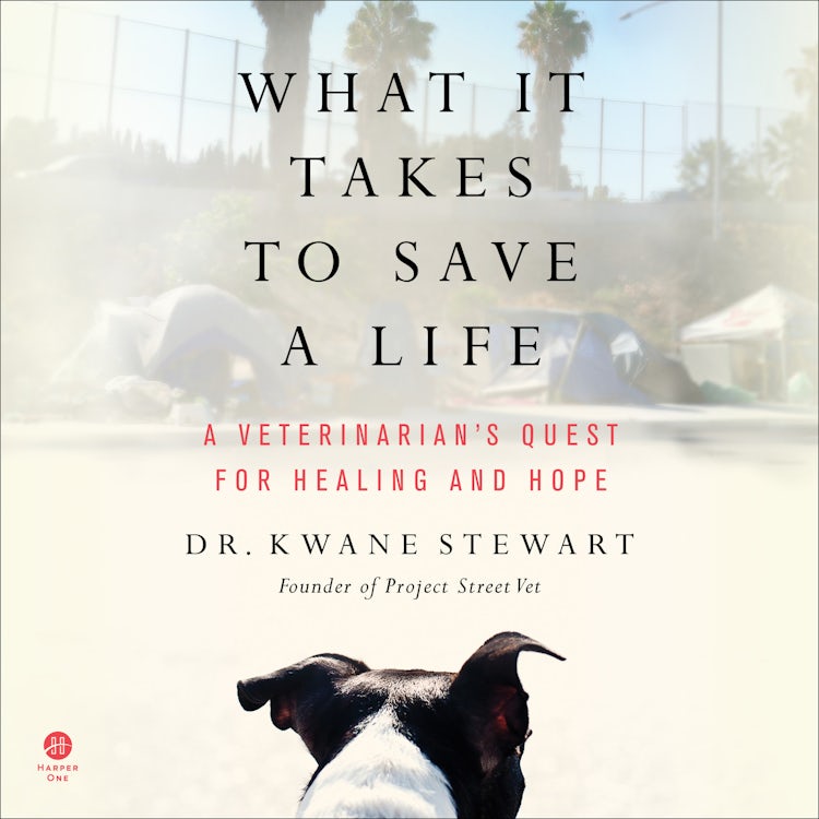 Cover image for What It Takes to Save a Life, isbn: 9780063215856