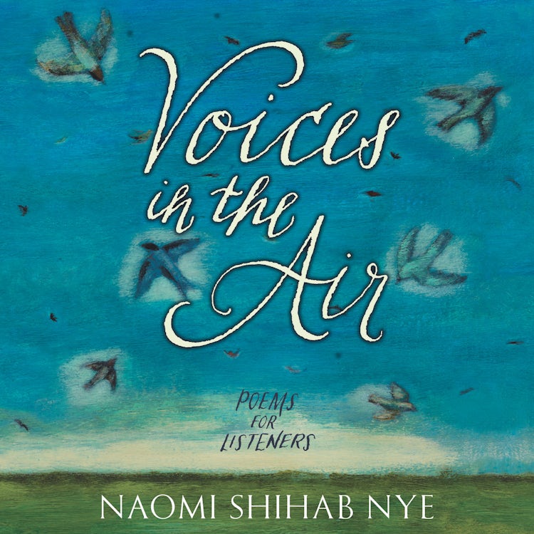 Cover image for Voices in the Air, isbn: 9780063220126