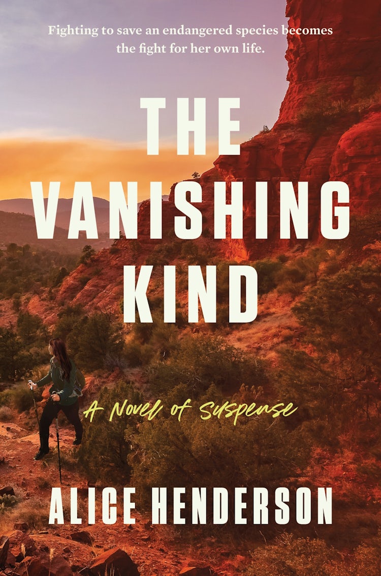 Cover image for The Vanishing Kind: A Novel of Suspense, isbn: 9780063223059
