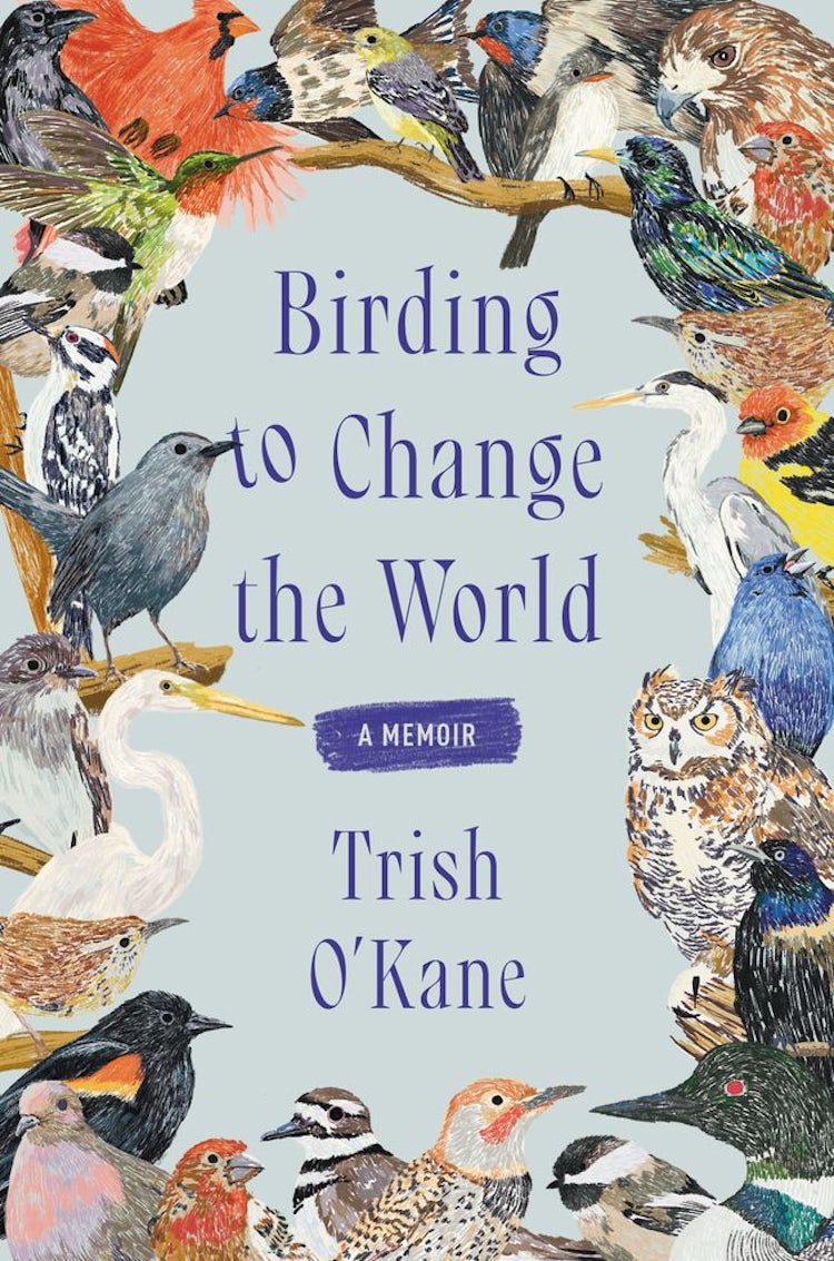 Cover image for Birding to Change the World: A Memoir, isbn: 9780063223141