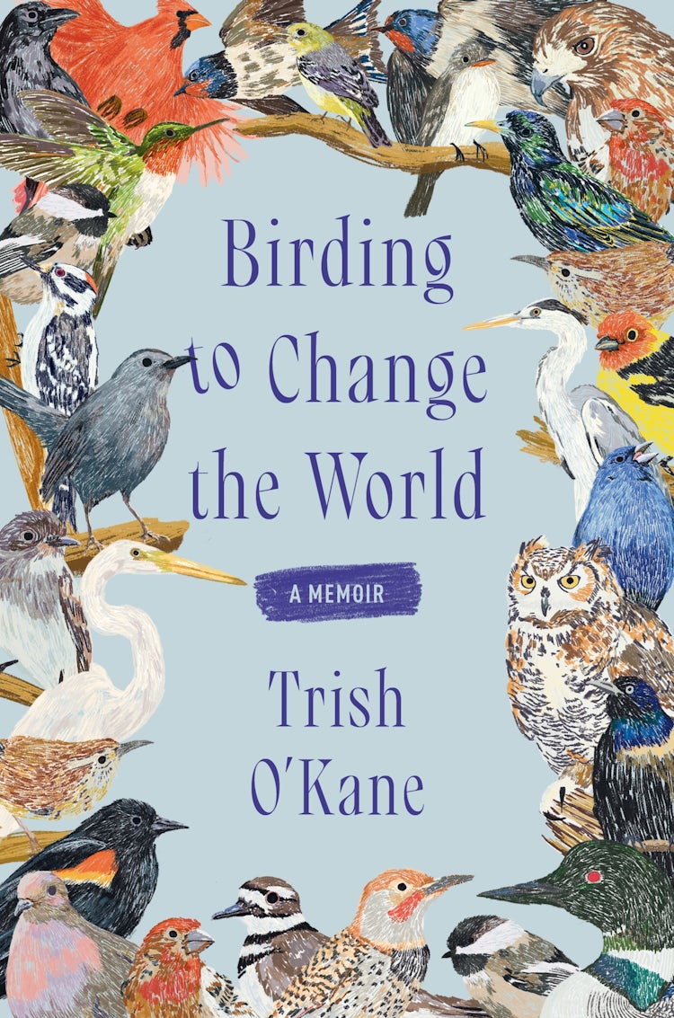 Cover image for Birding to Change the World: A Memoir, isbn: 9780063223165
