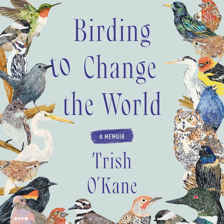 Cover image for Birding to Change the World, isbn: 9780063223202