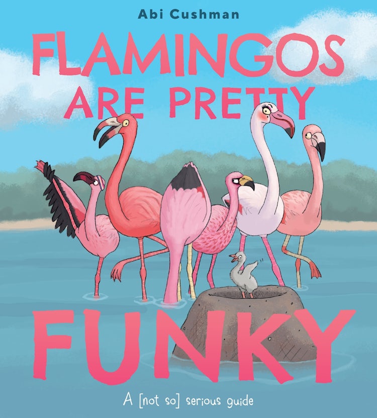 Cover image for Flamingos Are Pretty Funky: A (not So) Serious Guide, isbn: 9780063234444