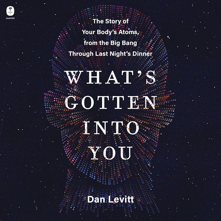 Cover image for What's Gotten Into You, isbn: 9780063251212
