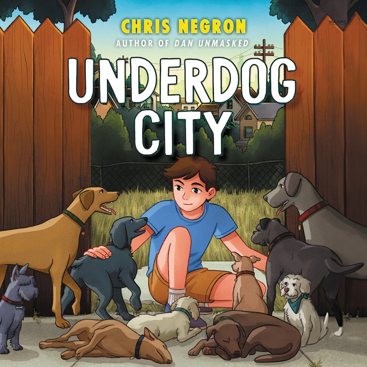 Cover image for Underdog City, isbn: 9780063251908