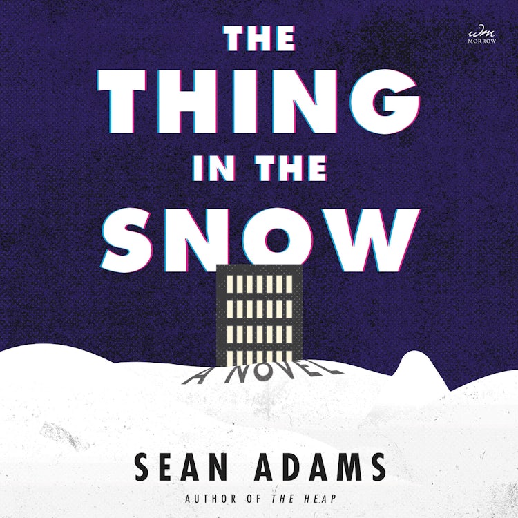 Cover image for The Thing in the Snow, isbn: 9780063257788