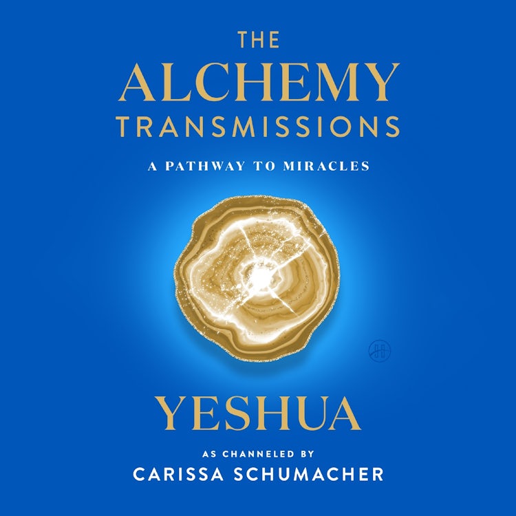 Cover image for The Alchemy Transmissions, isbn: 9780063259072