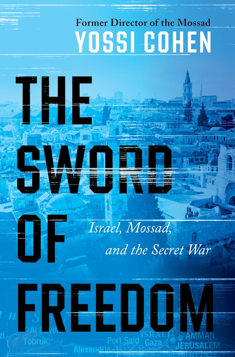 Cover image for The Sword of Freedom, isbn: 9780063259614