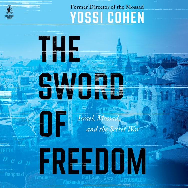 Cover image for The Sword of Freedom, isbn: 9780063259621