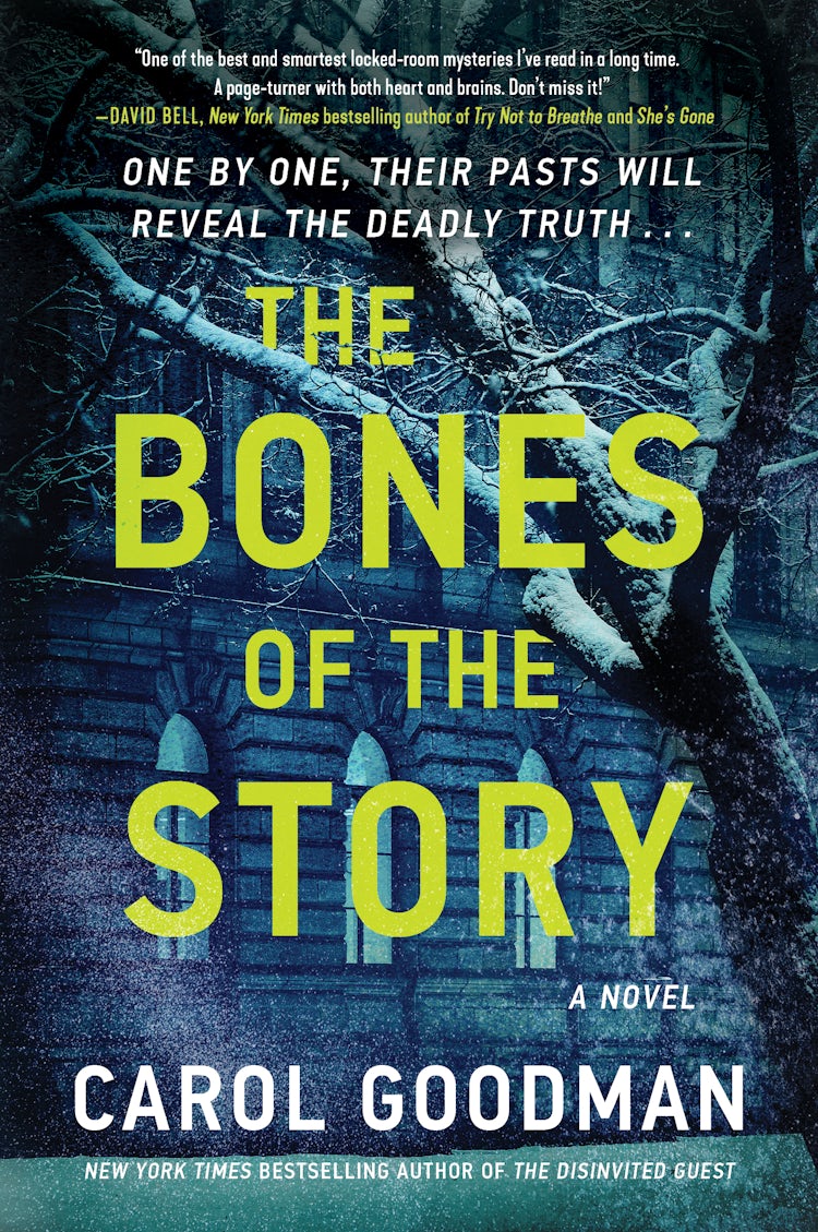 Cover image for The Bones of the Story, isbn: 9780063265264